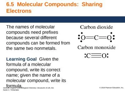 6.5   Molecular Compounds: