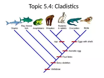 Topic 5.4:  Cladistics Cladistics