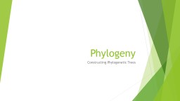 Phylogeny Constructing Phylogenetic Trees