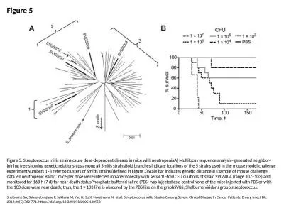 Figure 5 Figure 5. Streptococcus mitis strains cause dose-dependent disease in mice with neutropeni