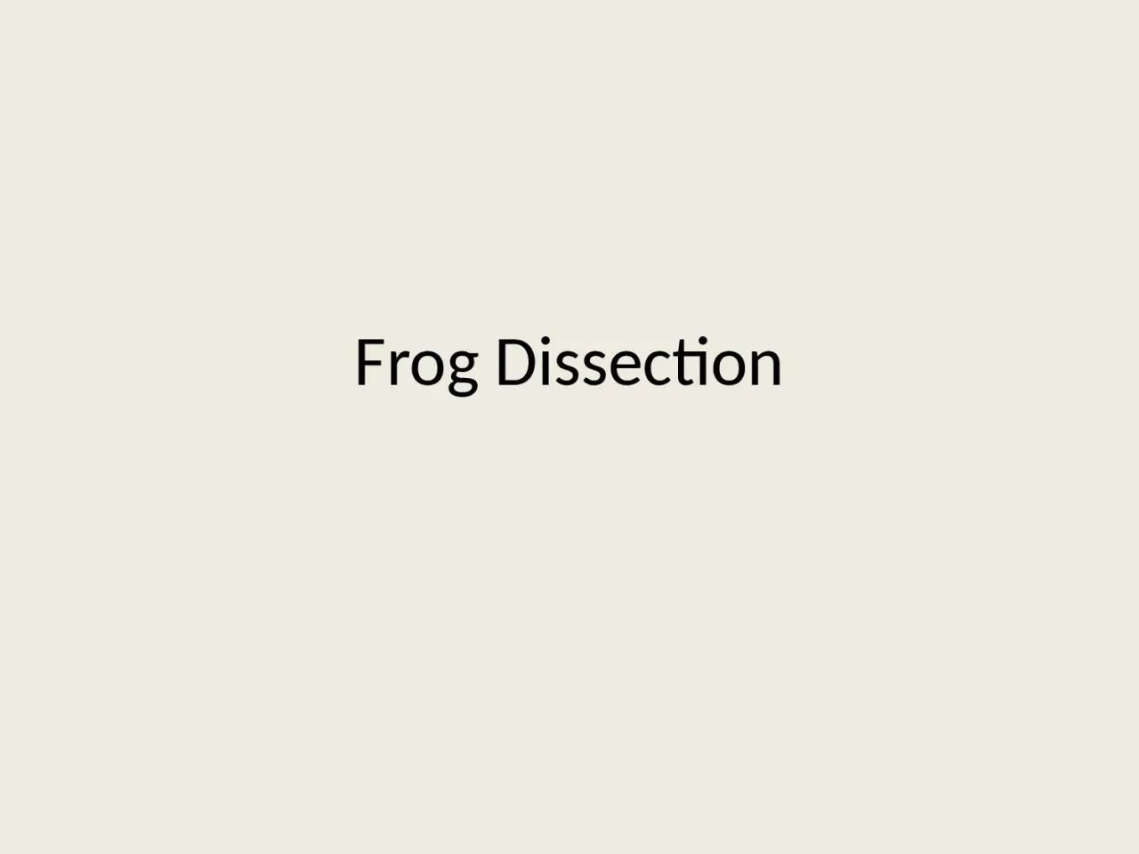 Frog Dissection Nictitating Membrane
