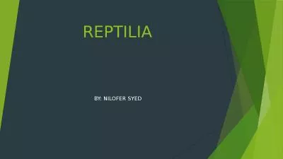 REPTILIA BY: NILOFER SYED