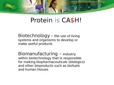 Protein  is  CA $ H! Biotechnology -