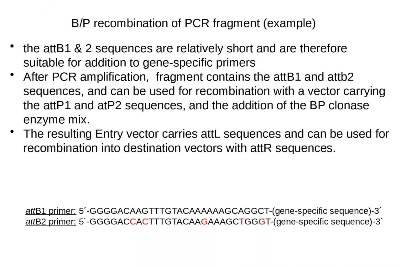 B/P recombination of PCR fragment (example)