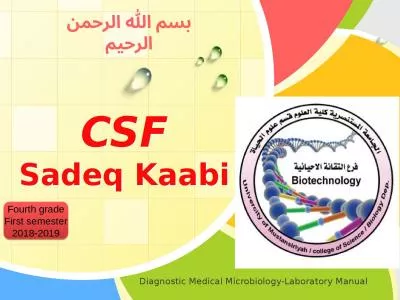 CSF Sadeq   Kaabi Fourth grade