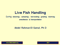 Live Fish  Handling During: