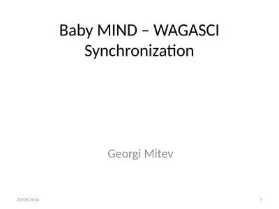 Baby MIND – WAGASCI Synchronization