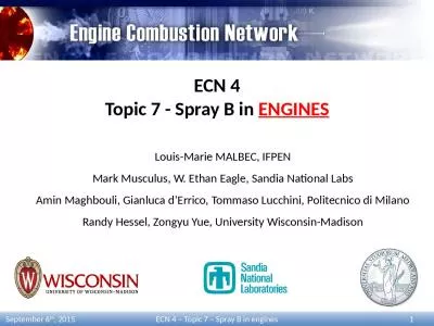 ECN 4 Topic 7 - Spray B in