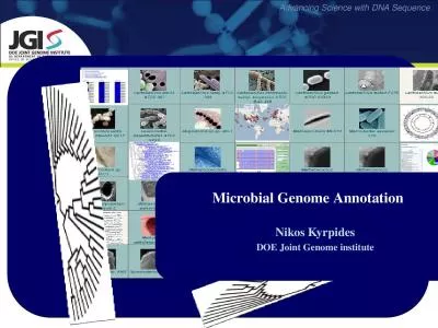 Microbial Genome Annotation