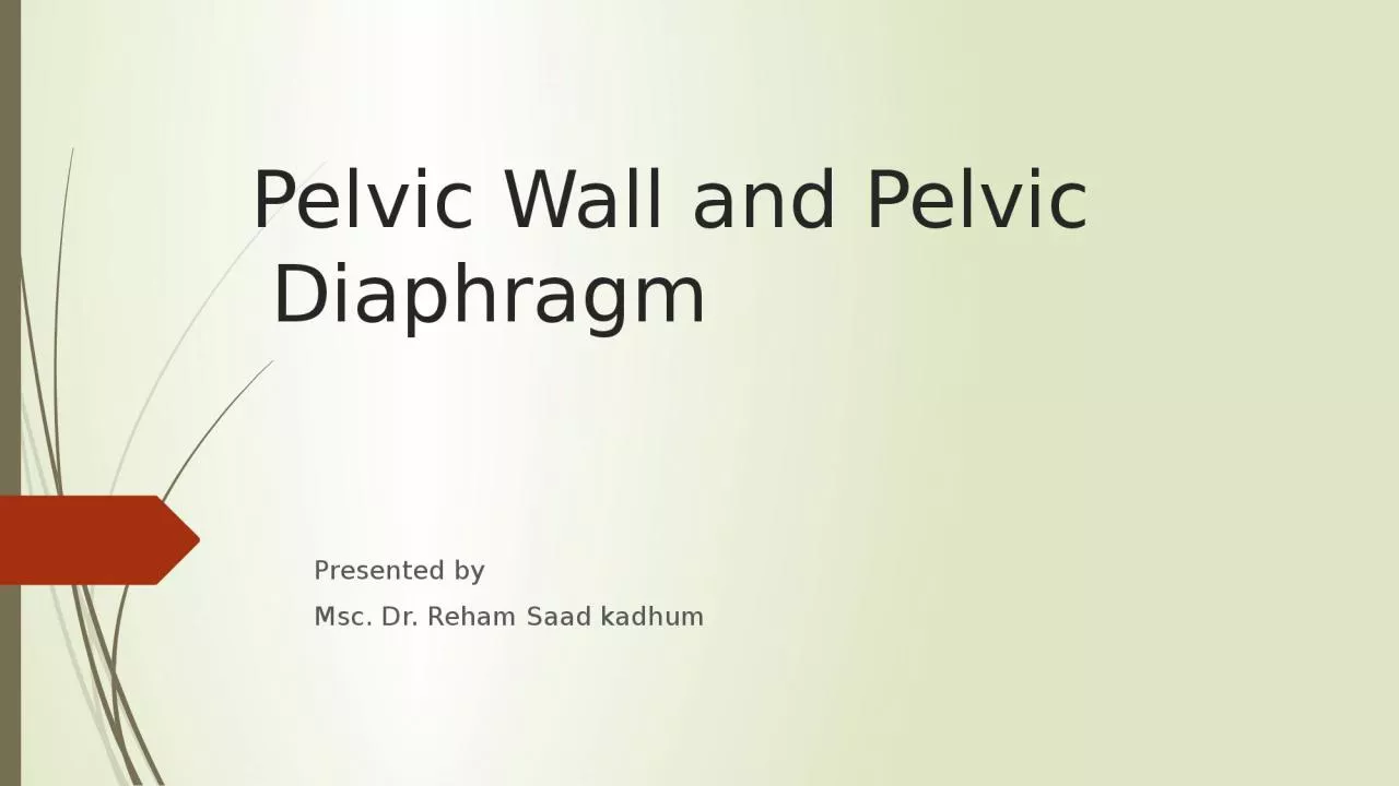 Pelvic Wall and Pelvic Diaphragm