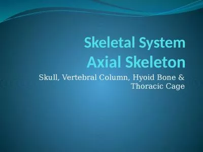 Skeletal System 	 Axial Skeleton