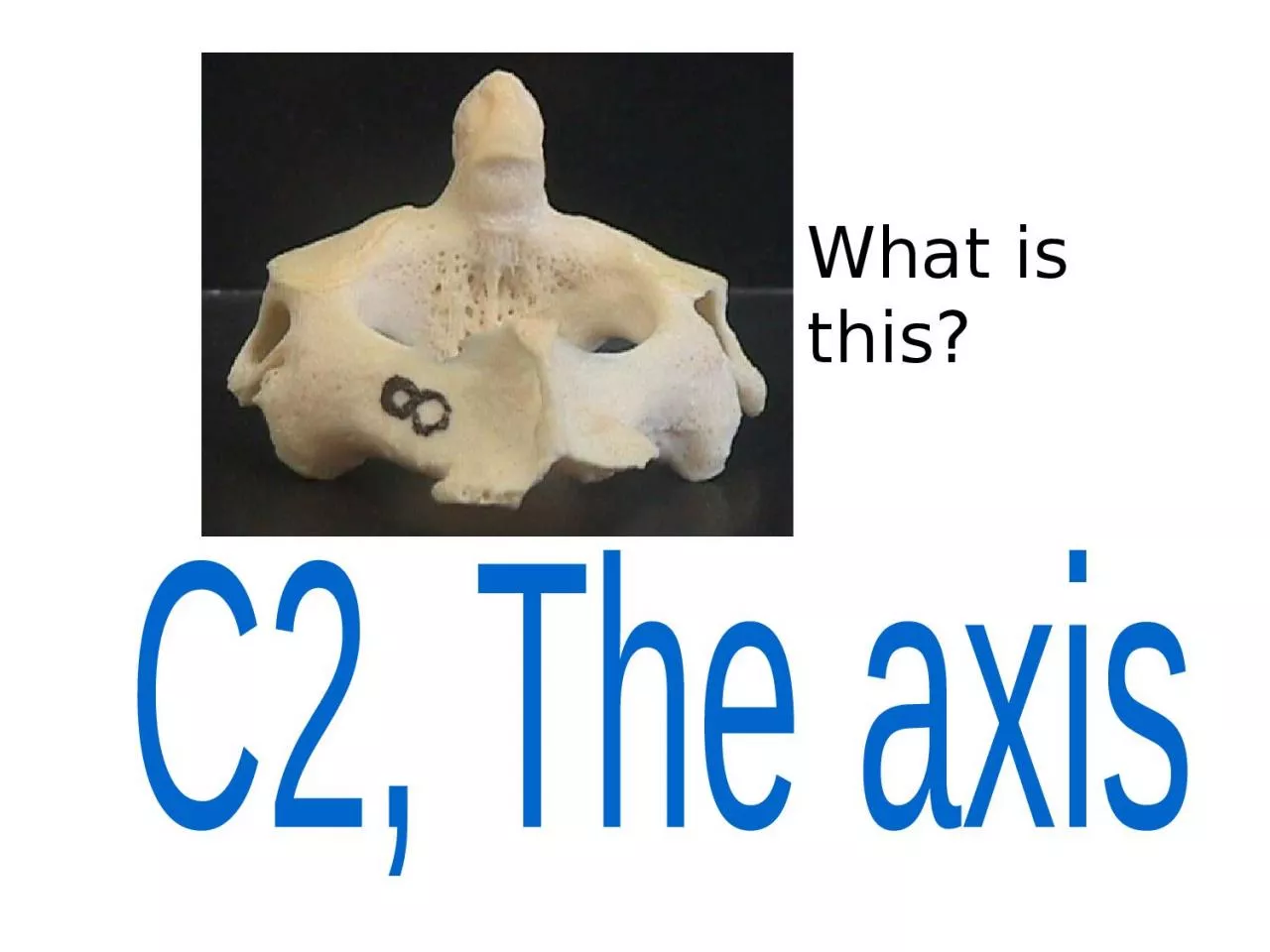 What  is this? C2, The  axis