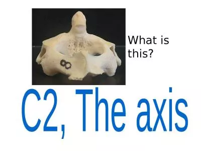 What  is this? C2, The  axis