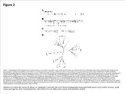 Figure 2 Figure 2. A) Organization of the viral genome of novel paramyxovirus related