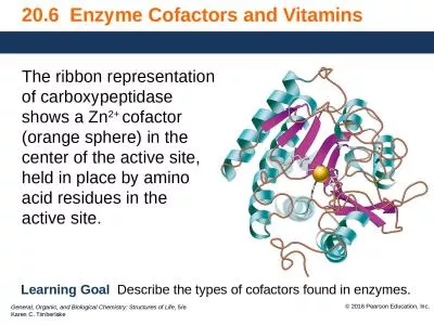 20.6  Enzyme Cofactors and Vitamins