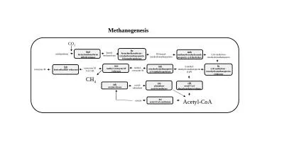 methanofuran fmd formylmethanofuran