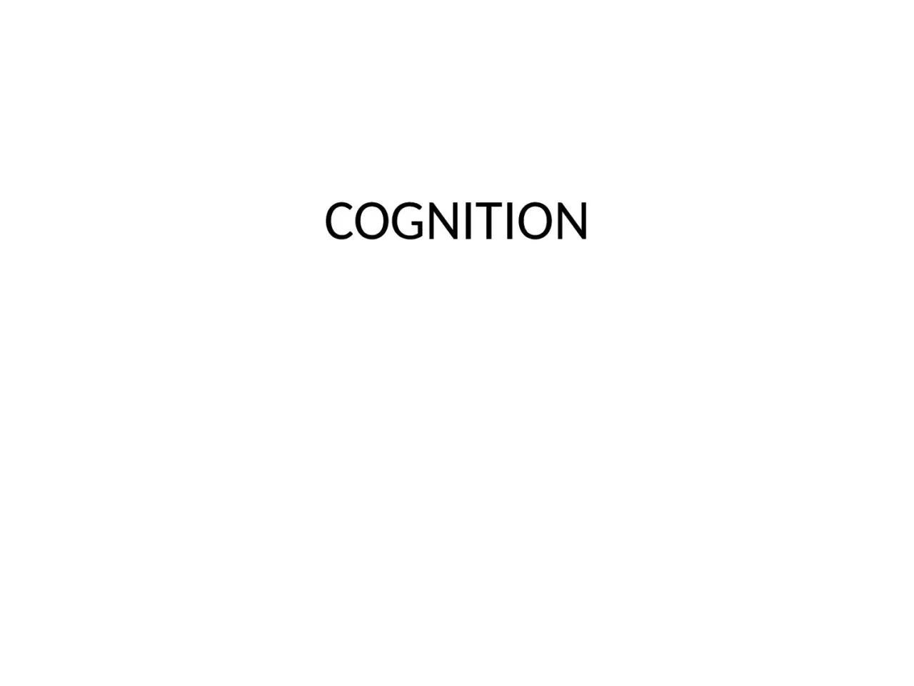 COGNITION Cognition Questions