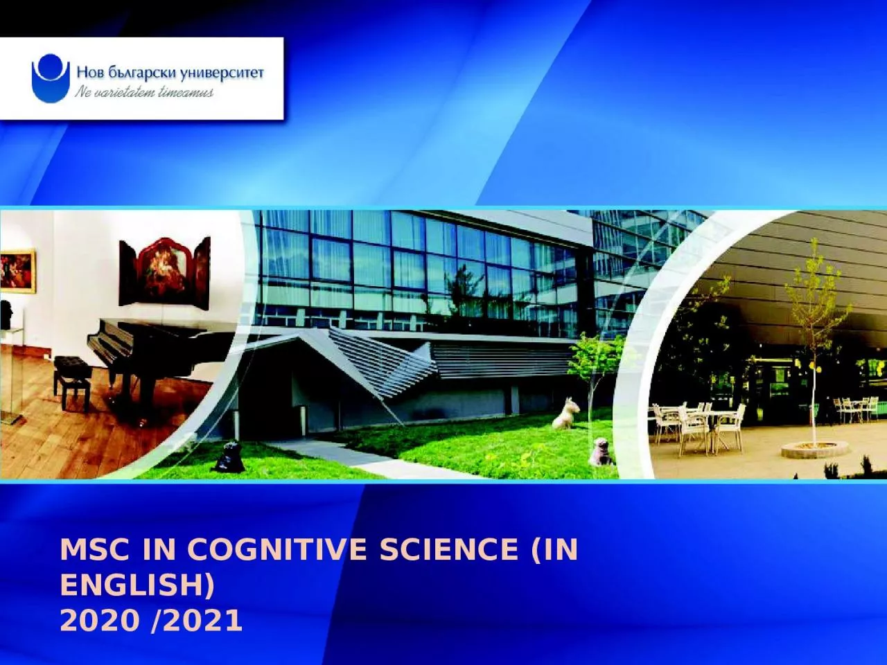 MSc  in  Cognitive Science