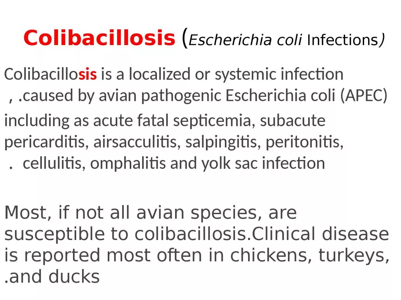 (Escherichia  coli  Infections