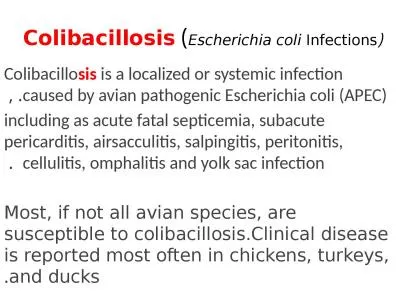 (Escherichia  coli  Infections