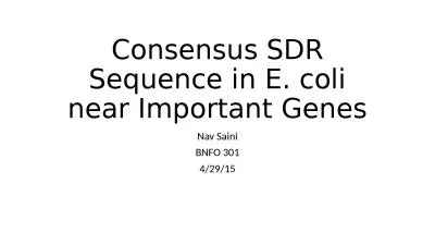 Consensus SDR Sequence in E. coli near Important Genes