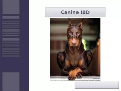 Canine IBD                Content: