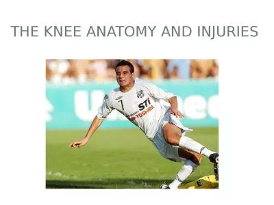 The Knee Anatomy and Injuries