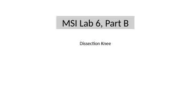 MSI Lab 6, Part B Dissection Knee