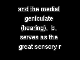 and the medial geniculate (hearing).  b. serves as the great sensory r