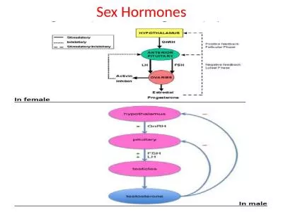 Sex Hormones Sex (Gonadal) Hormones
