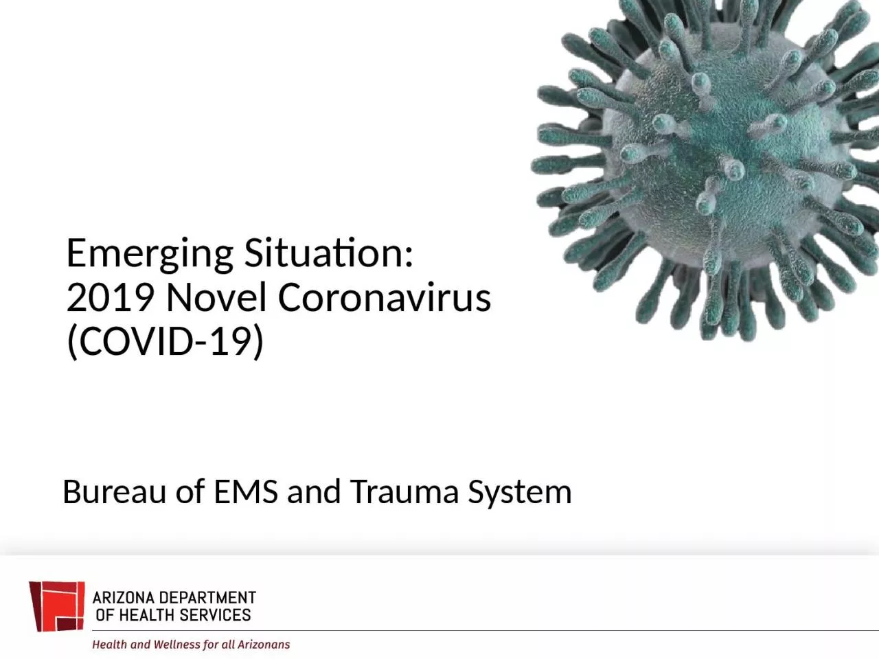 Emerging Situation: 2019 Novel Coronavirus