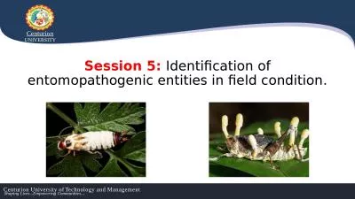 Session 5:  Identification of entomopathogenic entities in field condition.