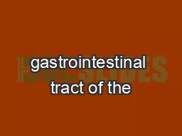 gastrointestinal tract of the