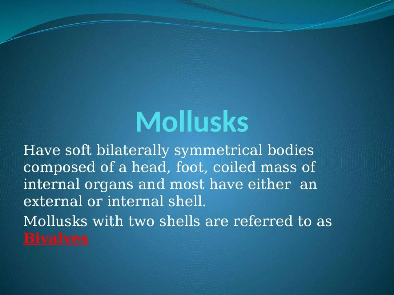 Mollusks Have soft bilaterally symmetrical bodies composed of a head, foot, coiled mass