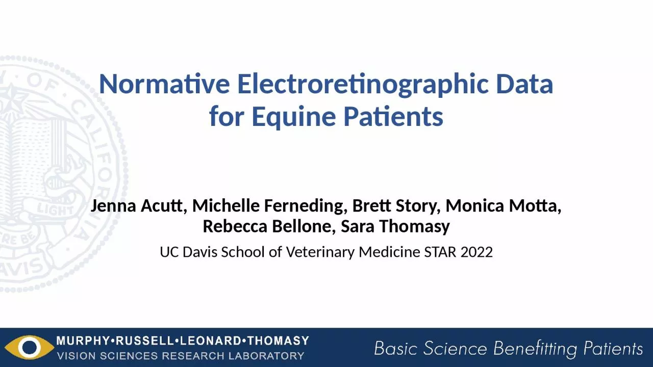 Normative Electroretinographic Data for Equine Patients