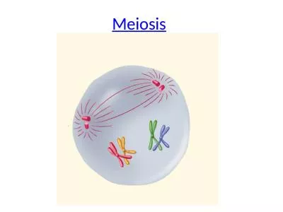 Meiosis Each organism must inherit a single copy of every gene from each of its “parents.”
