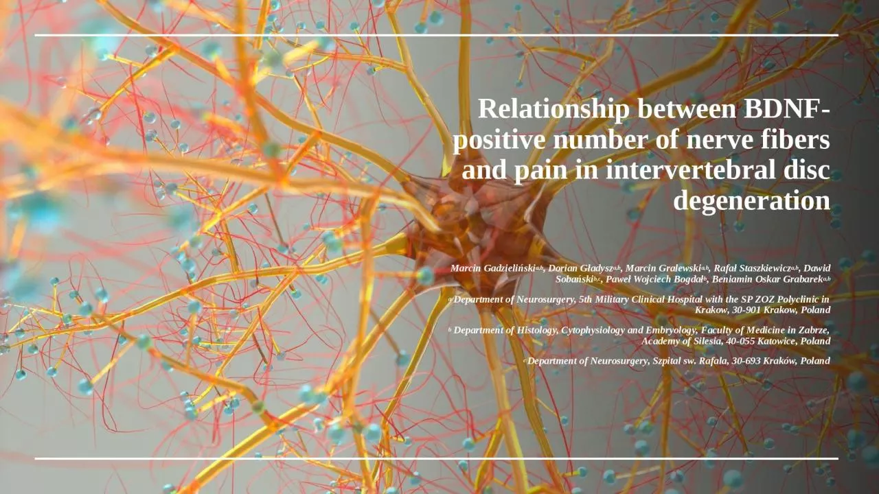 Relationship between BDNF-positive number of nerve fibers and pain in intervertebral disc