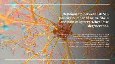 Relationship between BDNF-positive number of nerve fibers and pain in intervertebral disc degenerat