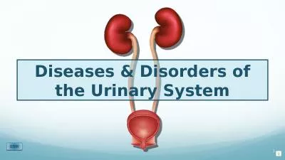 Diseases & Disorders of the Urinary System