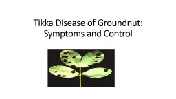 Tikka Disease of Groundnut: Symptoms and Control