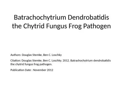 Batrachochytrium  Dendrobatidis