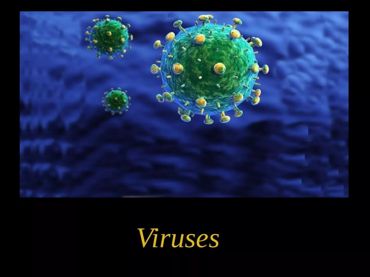Viruses Learning out come