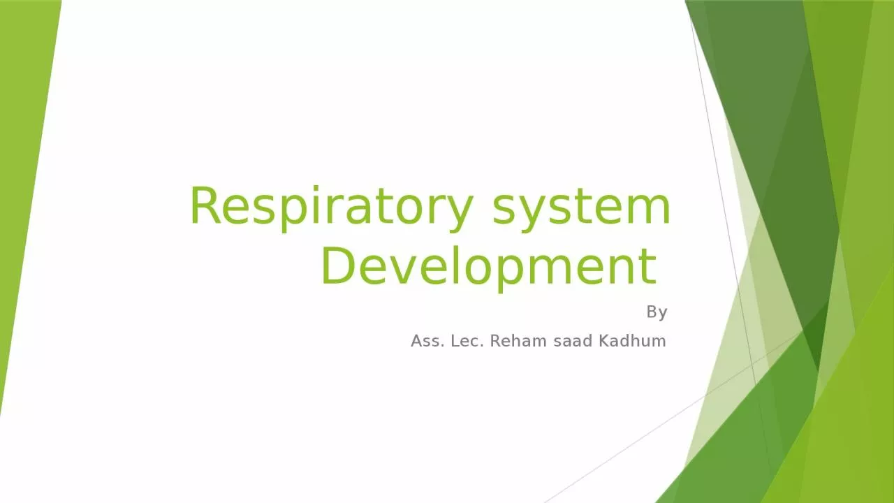 Respiratory system Development