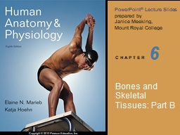 6        Bones and Skeletal Tissues: Part B