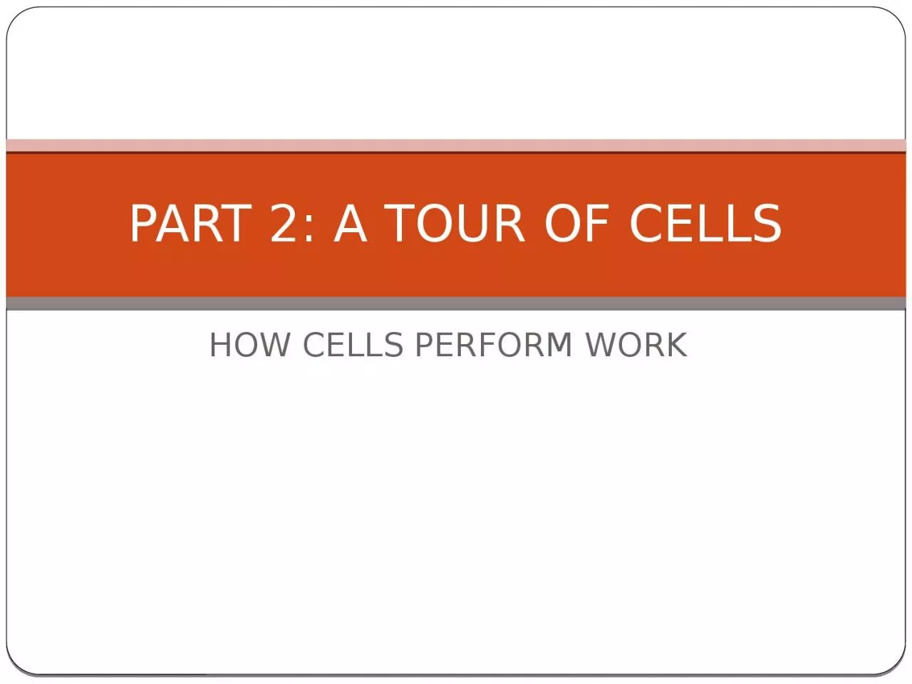 HOW CELLS PERFORM WORK PART 2: A TOUR OF CELLS