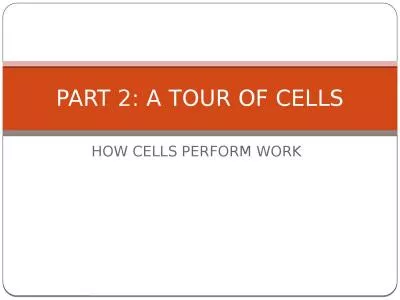 HOW CELLS PERFORM WORK PART 2: A TOUR OF CELLS