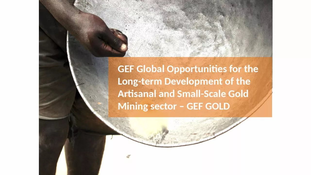 GEF Global Opportunities for the Long-term Development of the Artisanal and Small-Scale