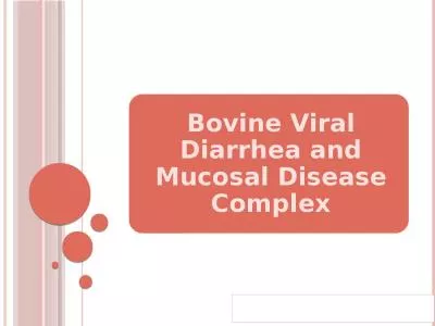 Bovine viral diarrhea (BVD)