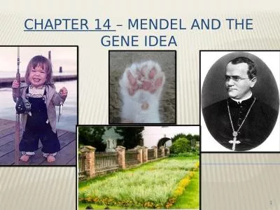 Chapter 14  – Mendel and the gene idea