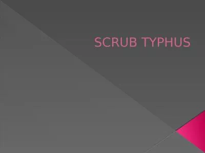 SCRUB TYPHUS Scrub typhus